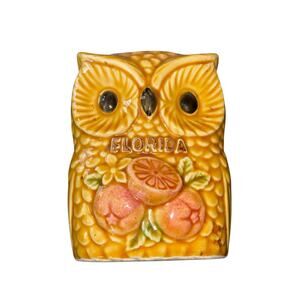 Vintage 60’s 70’s Owl Napkin Holder Florida Oranges Groovy Boho Kitschy